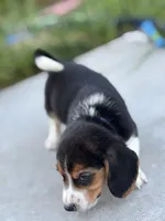 processed/de49bf1c-7a2c-478e-b40e-fb28dd7b54e4/listing/23b19d35-9aeb-4795-a6c7-e81a989a0095/aa894f30-f606-4df0-8c52-169d73638ea7