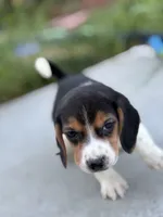 processed/de49bf1c-7a2c-478e-b40e-fb28dd7b54e4/listing/23b19d35-9aeb-4795-a6c7-e81a989a0095/ace7ec46-7fe8-4cc1-a478-71cb3a37a54e