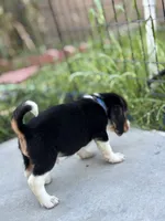 processed/de49bf1c-7a2c-478e-b40e-fb28dd7b54e4/listing/23b19d35-9aeb-4795-a6c7-e81a989a0095/cb1ca29e-ee93-4152-9bee-2e3c17a99432