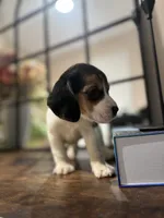 processed/de49bf1c-7a2c-478e-b40e-fb28dd7b54e4/listing/23fa18b1-c115-41eb-93e9-b930e4155a2a/9d9f81a6-3a30-498d-9575-75be673eea9d