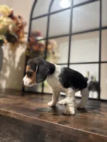 processed/de49bf1c-7a2c-478e-b40e-fb28dd7b54e4/listing/23fa18b1-c115-41eb-93e9-b930e4155a2a/b16167ef-c544-47b3-96f0-4f51de4771ab