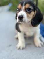 processed/de49bf1c-7a2c-478e-b40e-fb28dd7b54e4/listing/64d0a46a-b9a8-4b3a-a283-e48c5fc27f0a/5f570423-3c08-42bf-97f1-b2e753cbbab1