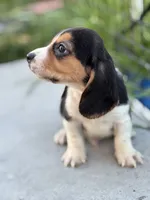 processed/de49bf1c-7a2c-478e-b40e-fb28dd7b54e4/listing/64d0a46a-b9a8-4b3a-a283-e48c5fc27f0a/b287342d-e1cb-420f-85e7-225e7e68163a