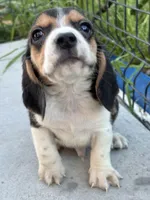 processed/de49bf1c-7a2c-478e-b40e-fb28dd7b54e4/listing/64d0a46a-b9a8-4b3a-a283-e48c5fc27f0a/c9ddc37a-182c-4f69-b130-33466aff96a9