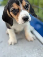 processed/de49bf1c-7a2c-478e-b40e-fb28dd7b54e4/listing/64d0a46a-b9a8-4b3a-a283-e48c5fc27f0a/dbb8ba56-d471-47c2-963a-c7320c303b87