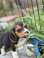 processed/de49bf1c-7a2c-478e-b40e-fb28dd7b54e4/listing/8f7dae2d-7fe9-4f14-98d0-72682ffa4f3b/97695f5c-ad8a-4314-b7d1-58dfe88a7626