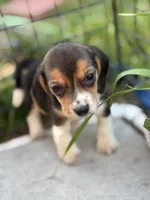 processed/de49bf1c-7a2c-478e-b40e-fb28dd7b54e4/listing/8f7dae2d-7fe9-4f14-98d0-72682ffa4f3b/a0d942a9-c9d0-43e1-8c0a-8bad7934703c