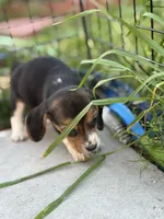 processed/de49bf1c-7a2c-478e-b40e-fb28dd7b54e4/listing/8f7dae2d-7fe9-4f14-98d0-72682ffa4f3b/b25add2c-dc54-47e9-a76b-25272652162c