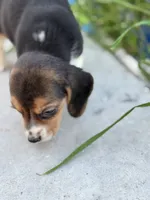 processed/de49bf1c-7a2c-478e-b40e-fb28dd7b54e4/listing/8f7dae2d-7fe9-4f14-98d0-72682ffa4f3b/fb9a64e8-603d-4638-85bf-07594bf8965b