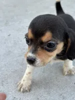 processed/de49bf1c-7a2c-478e-b40e-fb28dd7b54e4/listing/9ace7efe-3050-4435-9725-fb02cd43ee61/095fe132-4982-4399-8930-6e77eb92fa82