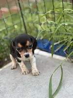 processed/de49bf1c-7a2c-478e-b40e-fb28dd7b54e4/listing/9ace7efe-3050-4435-9725-fb02cd43ee61/8548353f-78da-42db-939b-7eddeccbabc5