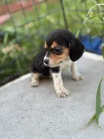 processed/de49bf1c-7a2c-478e-b40e-fb28dd7b54e4/listing/9ace7efe-3050-4435-9725-fb02cd43ee61/bc6b7578-ca88-4452-b9a2-b74b75481dc9