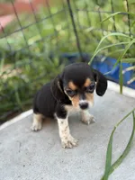 processed/de49bf1c-7a2c-478e-b40e-fb28dd7b54e4/listing/9ace7efe-3050-4435-9725-fb02cd43ee61/dda0f454-e5a1-45ac-845b-d2ef13e78ca9