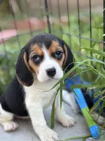 processed/de49bf1c-7a2c-478e-b40e-fb28dd7b54e4/listing/9efab40b-c7d7-412a-8490-ce1b06b76005/473bc476-8914-4129-97b5-c6f94bf6a451