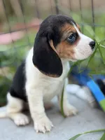 processed/de49bf1c-7a2c-478e-b40e-fb28dd7b54e4/listing/9efab40b-c7d7-412a-8490-ce1b06b76005/b0e9a438-5046-4abe-86ae-0c5b0e26fd8d