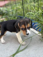 processed/de49bf1c-7a2c-478e-b40e-fb28dd7b54e4/listing/d82941e6-6130-4ac1-bd0a-68de2c00b880/7a6352e3-c51b-4c3c-8b07-0855141310bc