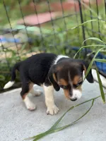 processed/de49bf1c-7a2c-478e-b40e-fb28dd7b54e4/listing/d82941e6-6130-4ac1-bd0a-68de2c00b880/9f1363bc-e1ac-4cbe-be79-3d1d7a2bb6c4