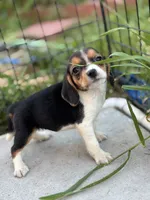 processed/de49bf1c-7a2c-478e-b40e-fb28dd7b54e4/listing/d82941e6-6130-4ac1-bd0a-68de2c00b880/b19fb4ca-50d7-467c-8160-33a61c68636a