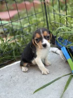 processed/de49bf1c-7a2c-478e-b40e-fb28dd7b54e4/listing/d82941e6-6130-4ac1-bd0a-68de2c00b880/cb88cdf9-6f90-4c6a-8ef6-8901ca711864