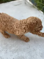 processed/de49bf1c-7a2c-478e-b40e-fb28dd7b54e4/listing/eb51962b-c37c-49b3-87c0-62a7902cba84/a587b7ba-212f-4644-b3b2-5291a823efa7