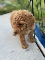 processed/de49bf1c-7a2c-478e-b40e-fb28dd7b54e4/listing/eb51962b-c37c-49b3-87c0-62a7902cba84/c4ebea99-35d9-48b1-b966-a10211042a97