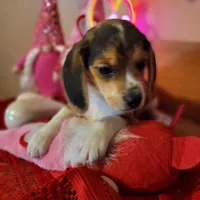 processed/de4d1427-af56-4043-abb9-af8e7d36ad54/listing/6d920d7d-d9c6-4e6a-8aaf-4c341e945321/4496b200-7b04-451e-a72a-7e233789f372