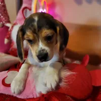 processed/de4d1427-af56-4043-abb9-af8e7d36ad54/listing/6d920d7d-d9c6-4e6a-8aaf-4c341e945321/712281d3-4e56-4c73-921a-f9b463d60683