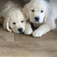 processed/de502bc7-85d1-4321-9263-44ff9dea7b2c/facility/2f81c74e-a081-4391-8ed2-1397e3eb5fe4