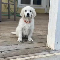 processed/de502bc7-85d1-4321-9263-44ff9dea7b2c/facility/3adae572-31f0-491c-a684-e5b41fe87c3d