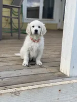 processed/de502bc7-85d1-4321-9263-44ff9dea7b2c/facility/3adae572-31f0-491c-a684-e5b41fe87c3d