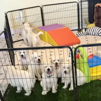 processed/de502bc7-85d1-4321-9263-44ff9dea7b2c/facility/68f600ef-3dab-41be-9506-858ec70523df