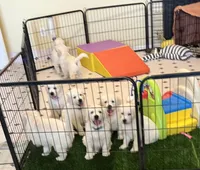 processed/de502bc7-85d1-4321-9263-44ff9dea7b2c/facility/68f600ef-3dab-41be-9506-858ec70523df