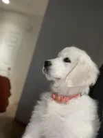 processed/de502bc7-85d1-4321-9263-44ff9dea7b2c/facility/7fc8286b-deb7-4f4c-86f2-fece253b8d46