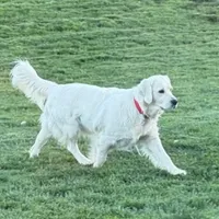 processed/de502bc7-85d1-4321-9263-44ff9dea7b2c/facility/b1b07411-a25f-4c58-bb2d-7d37b45e0049