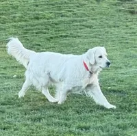 processed/de502bc7-85d1-4321-9263-44ff9dea7b2c/facility/b1b07411-a25f-4c58-bb2d-7d37b45e0049