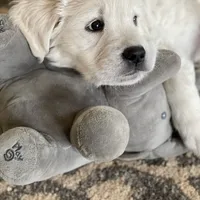 processed/de502bc7-85d1-4321-9263-44ff9dea7b2c/facility/de57e97d-3b02-4f38-9f70-060a20e1c433