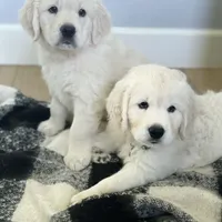 processed/de502bc7-85d1-4321-9263-44ff9dea7b2c/facility/f6895f1b-f77b-4a94-bb13-412ae0a94bcb