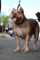 processed/de61b044-0b60-4825-bd9a-0be99b39ec15/facility/0ac97373-96f1-478f-8293-94a767ea8329