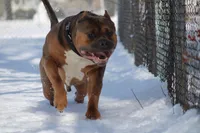 processed/de61b044-0b60-4825-bd9a-0be99b39ec15/facility/142730f0-3932-40f3-907f-6b5ef2e5d136