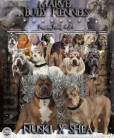 processed/de61b044-0b60-4825-bd9a-0be99b39ec15/facility/a7cd3cbf-0684-46a3-ab08-a190ee9bfb44