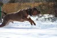 processed/de61b044-0b60-4825-bd9a-0be99b39ec15/facility/ebcbfb56-01c7-44e9-b6e0-08efe5eaa57f