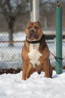 processed/de61b044-0b60-4825-bd9a-0be99b39ec15/facility/fa973171-adc6-4eff-9112-af980473857f