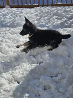 processed/de647a9b-395a-46b9-8f57-b0556f60f5d6/listing/79482d01-e81b-49ef-a969-451586ce9ded/1301ecb9-2ad2-4569-af5d-e430d5ad852c