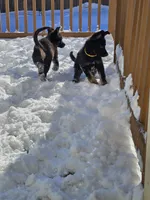 processed/de647a9b-395a-46b9-8f57-b0556f60f5d6/listing/79482d01-e81b-49ef-a969-451586ce9ded/498e6f44-e227-42d0-99a8-3a70fffe8fea