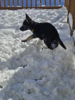 processed/de647a9b-395a-46b9-8f57-b0556f60f5d6/listing/79482d01-e81b-49ef-a969-451586ce9ded/9f903e93-5a9e-4b26-ab6c-fae512da792d