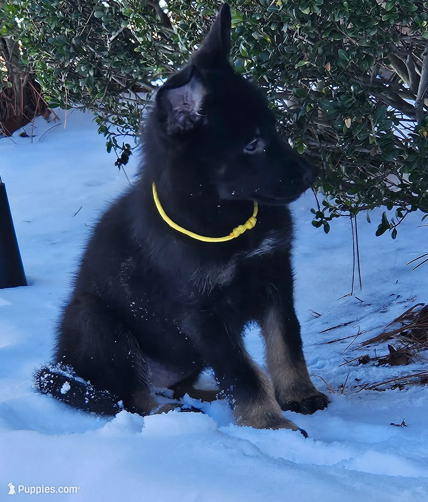 processed/de647a9b-395a-46b9-8f57-b0556f60f5d6/listing/79482d01-e81b-49ef-a969-451586ce9ded/bff5c76a-a16c-48b4-aa77-1f85f6866f38