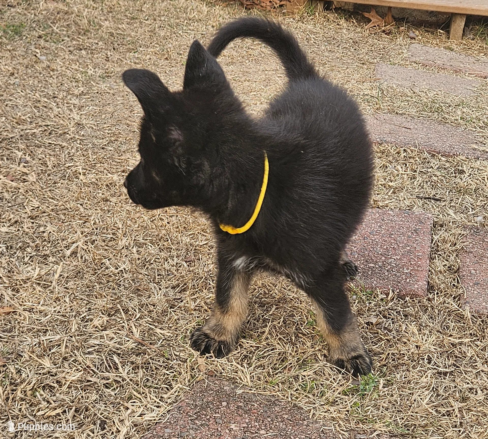 processed/de647a9b-395a-46b9-8f57-b0556f60f5d6/listing/79482d01-e81b-49ef-a969-451586ce9ded/d30c2528-e62d-4515-a736-f1c05da24b16