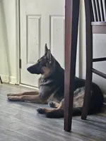 processed/de647a9b-395a-46b9-8f57-b0556f60f5d6/listing/79482d01-e81b-49ef-a969-451586ce9ded/f6750788-6dc6-4bc7-b478-cff1e6d117e4