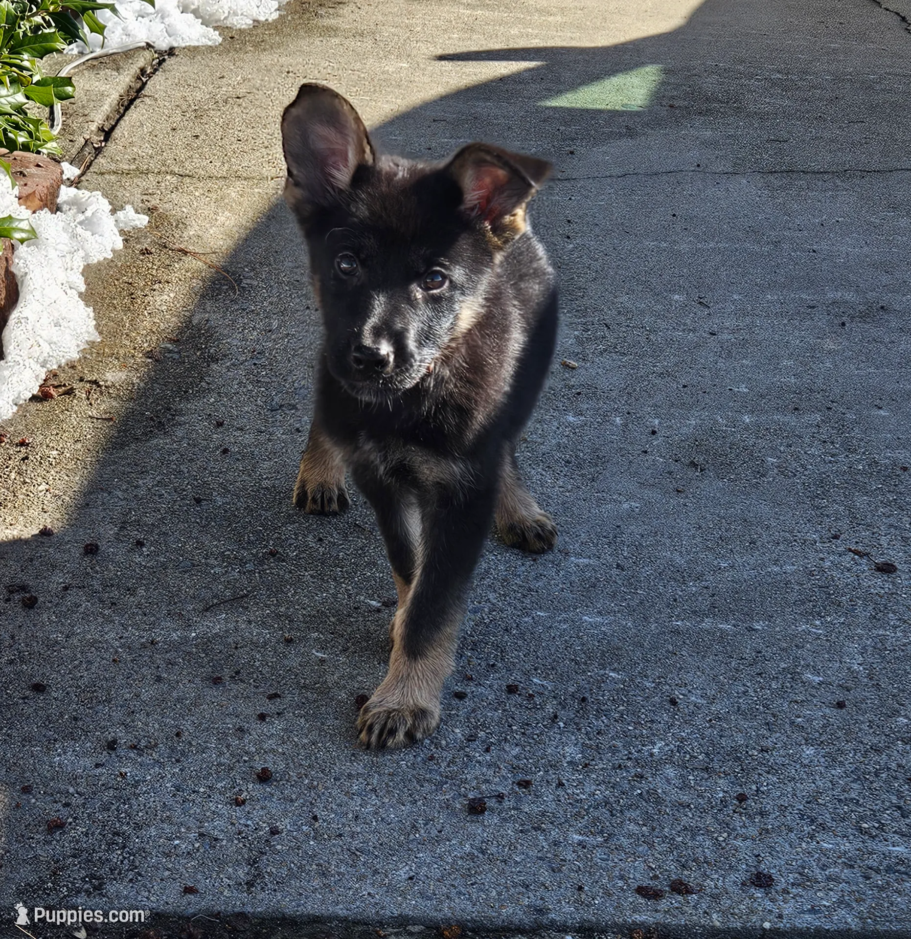 processed/de647a9b-395a-46b9-8f57-b0556f60f5d6/listing/d7ea8748-b1a9-4424-8b08-b940c24d19b1/d19c5247-ef9a-4b36-b58f-cda6ee4e2700