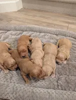 processed/de7600d4-9e85-4460-8336-fd85891b4931/listing/25e0e2d8-cec1-4ef3-aeaa-c774499577de/4d159735-4a82-4704-9352-15d0dbecb9ac